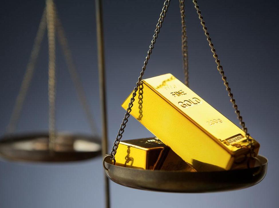 世界首例！广东医生将基因编辑猪肺移植到人体