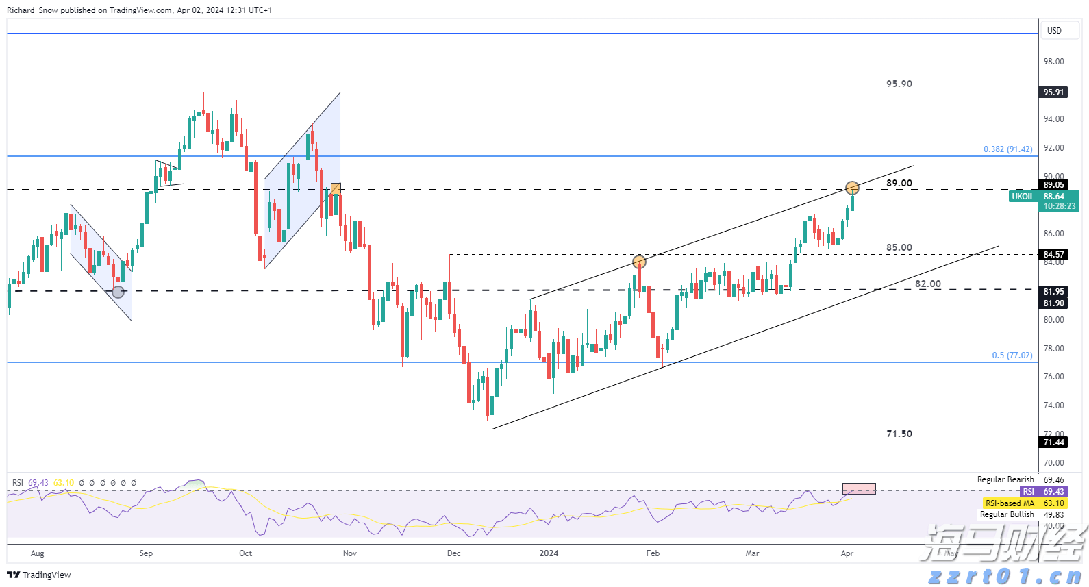 浔郁春光好 田间育苗忙
